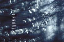 三月春光如流烟