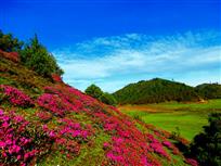 世外桃源——志奔山之夏