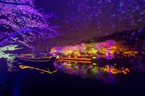 太湖夜樱