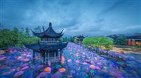 雨游聚星亭