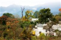 塔川秋色