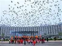 天女散花：《放飞希望，追寻中国梦》