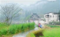 梦里乡村