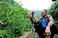 武当山风景区的“美猴王”