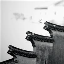 家园