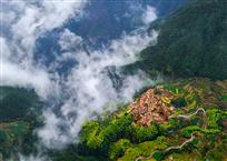 云雾小村