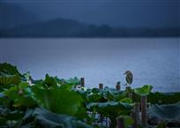 胜似闲湖信步