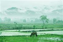 润雨无声