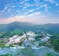 锦绣田园