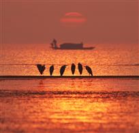 夕阳无限好