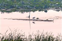 斜晖脉脉水悠悠