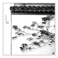 最忆是江南