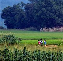 乡村学童