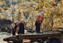 勤劳的藏族妇女