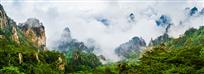 黄山烟雨图