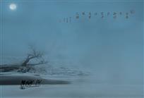 《平沙万里绝人烟》