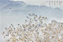 《远山的呼唤》