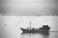 《和谐闽江口》