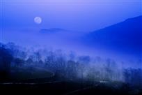 月夜独行