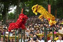 狮腾“讨僚皈”