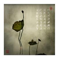 最后的坚守