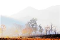 层峦叠嶂