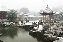 园林飞雪
