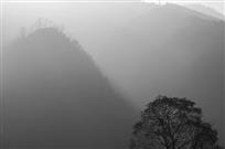 山与树
