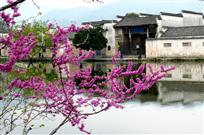 宏村春色