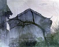 春意盎然水韵江南