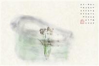 一身冰雪舞春风