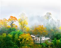 雾润秋色