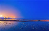 南湖残荷夜色美