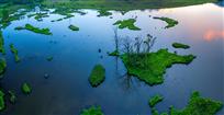 鸟瞰大九湖湿地