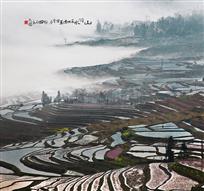 《层层梯田接云天》