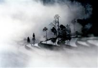 水墨清影