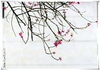 春上枝头