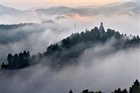 文风晨曦