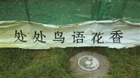 美好的愿望