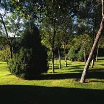 今年最后一点温度