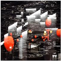 梦境秦淮〔组图〕