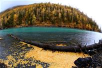 秋水&nbsp;&nbsp;秋波