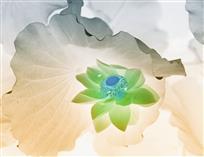 瑶池仙踪