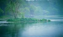 春雨