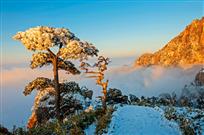 瑞雪丰年兆三清