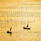 金色海浪