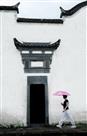 等你路过