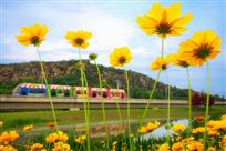 开往春天的列车