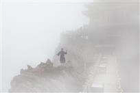 习武