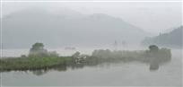 江雾飘白鹭飞